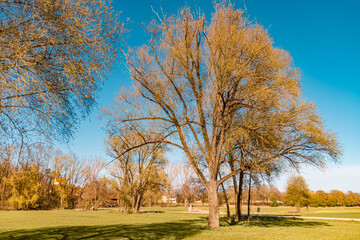 Fototapeta premium Beautiful spring view near Bogenberg, Danube, Bavaria, Germany