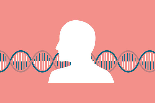 Genetic research illustration. Abstract background whowing on person outline and a helix representing an ADN, genes or chromosomes. Vector.