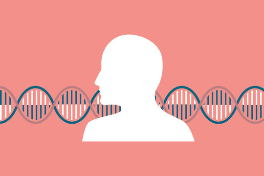 Human nucleotide sequence illustration. Abstract background whowing on person outline and a helix representing an ADN, genes or chromosomes. 
