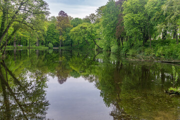 Green public park with pond in Poland.