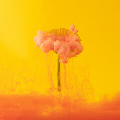 abstract pink fluid paint with fresh yellow gerber on sunny summer bright yellow background. fluid...