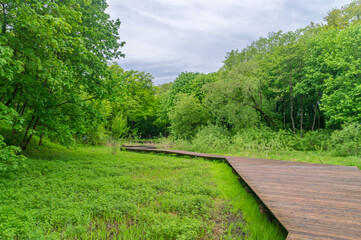 Fototapeta na wymiar Green public park in Wojanowo in Poland.