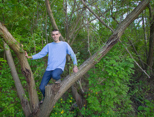 Naklejka na ściany i meble A young man climbed into a willow tree in the nature