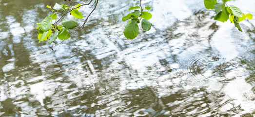 Beautiful pattern on surface of water, formed by wind, and branches with green leaves on top of it.