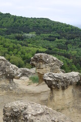 Fototapeta na wymiar Rock in the mountains in the park of Kislovodsk city. 
