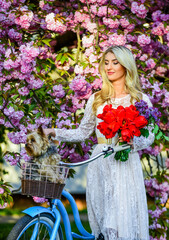 Naklejka premium flower shop. lady walk in park. pink cherry tree blossom. girl carry flowers in retro bicycle. spring beautiful woman in dress. girl with vintage bike. blooming sakura tree. summer fashion and beauty