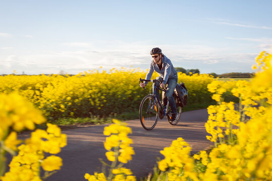 รูปภาพPannier – เลือกดูภาพถ่ายสต็อก เวกเตอร์ และวิดีโอ25,346 | Adobe Stock