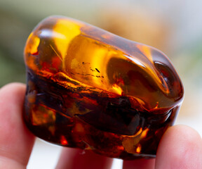 .amber, mineral specimen stone rock geology gem crystal