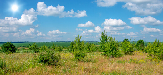 Fototapeta na wymiar green meadow and blue sky with clouds in summer