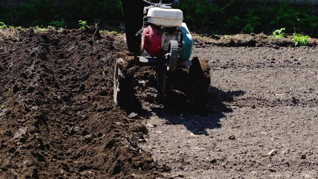 Shouting a vegetable garden with a plow with a tractor. Selective focus.