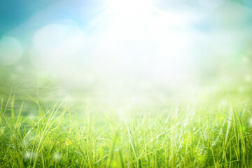 Plakat World environment day concept: green grass and blue sky abstract background with bokeh