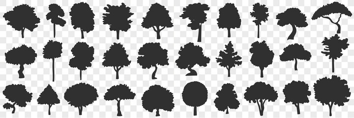 Silhouettes of trees doodle set. Collection of hand drawn black silhouettes of various blooming trees nature in rows isolated on transparent background 