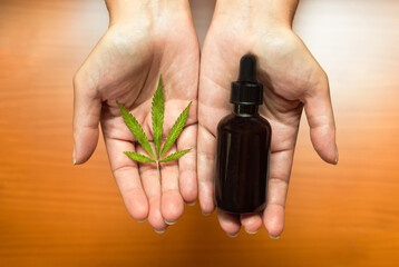 Hands showing a marijuana leaf and a bottle of cbd oil, a potent cannabis extract. Natural remedy...
