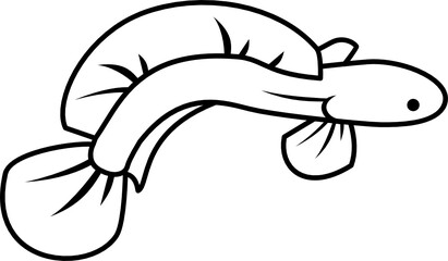 illustration of a chana fish