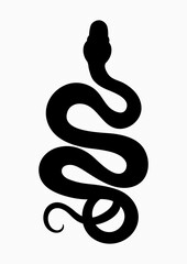 Black silhouette snake. Vector illustration EPS10 - 434703797