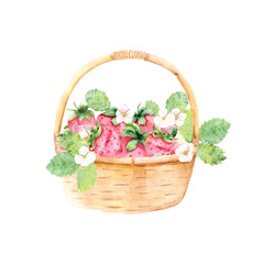 Fototapeta na wymiar Watercolor illustration. Composition wicker light brown basket with ripe strawberries, flowers and leaves.