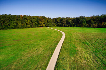 Fototapeta na wymiar a view of a road leading into a forest through a lush green lawn, near Munich, Bavaria, Germany, Europe