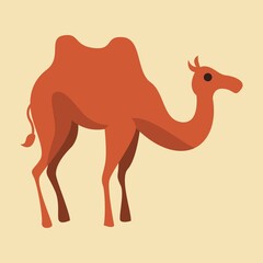 Camel cartoon vector illustration isolated over white background. Cute illustration of an animal in the desert.