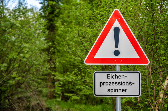 Warnschild in einem Waldgebiet vor dem Eichenprozessionsspinner und dessen gesundheitlichen Auswirkungen