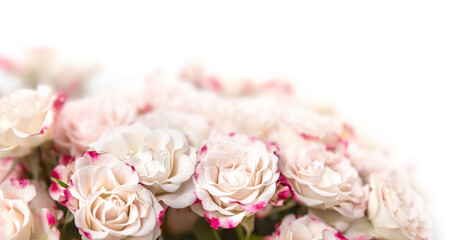 Obraz na płótnie Canvas Light pink roses background