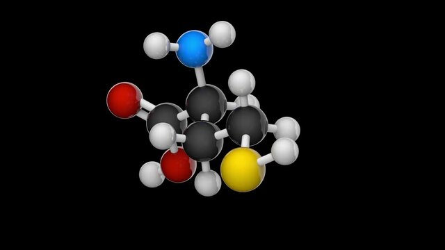 Chemical structure of homocysteine (Hcy) amino acid. Formula: C4H9NO2S. 3D render. Seamless loop. Chemical structure model: Ball and Stick. RGB + Alpha (Transparent) channel