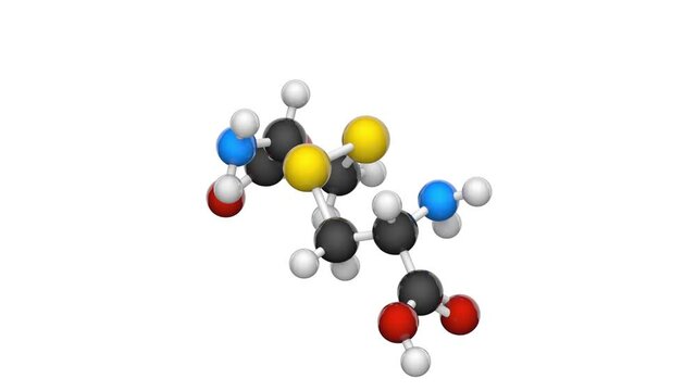 Chemical structural formula and model of cystine. Non-standard amino acid. Formula C6H12N2O4S2. 3D render. Seamless loop. Chemical structure model: Ball and Stick. White background