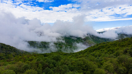 Fototapeta na wymiar foggy mountain landscape with forest