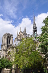 Fototapeta na wymiar Scenic view of Notre Dame de Paris in amazing sunny day, France