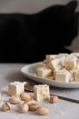 Pistachios halvah in plate with pistachios nuts with a black cat on the background, low key, macro, close up, selective focus, vertical. Funny eating concept.
