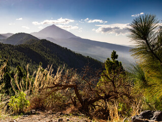 Teide National Park © Piotr