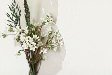 wildflowers on a white wall.