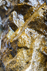Close-up of rock surface in the rain