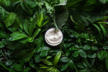 Cosmetic cream on green leaves