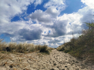 Lonely beach at the Baltic Sea near the city of Rostock, Germany