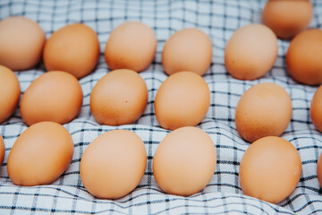 brown eggs on a checkered tablecloth pattern