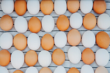 eggs white and brown in staggered pattern