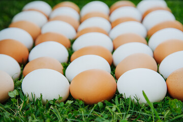 eggs white and brown in staggered pattern
