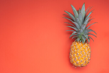 Victoria pineapple over a red background