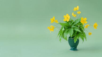 Summer background with yellow flowers in the vase on the green backdrop