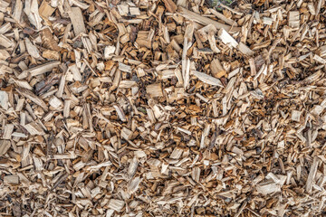 Closeup of a large heap of wood chips after felling some tall poplar trees.