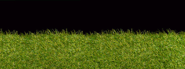 Green grass borders for decoration and covering on black background