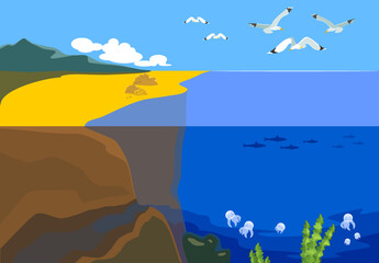 Split level seascape landscape with yellow sand, flying seagulls and jellyfish in blue water