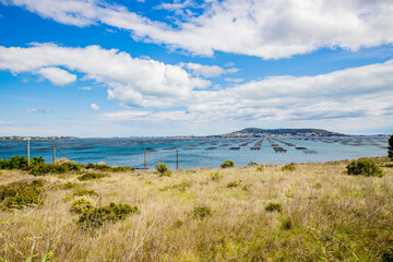 Vue sur les parc à huitres de l'étang de Thau