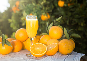 orange juice and oranges on table in orchard