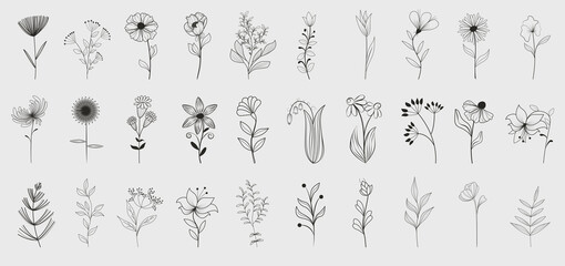 Fototapeta na wymiar Bundle of detailed botanical drawings of blooming wild flowers. Black and white doodle blossom. Decorative floral elements set. Vector illustration 