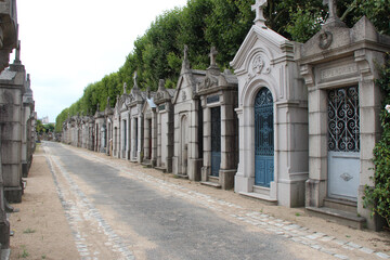 in a cemetery in nantes (france) 