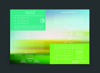 Fototapeta premium Brochure for business reports, cover layout and infographics