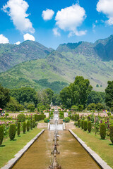Nishat Garden in Srinagar, Also known as “the garden of bliss”, Nishat Garden in Srinagar is...