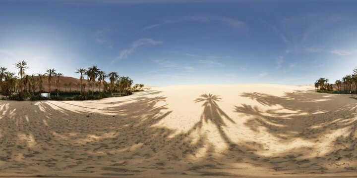 VR360 view of palm oasis in desert