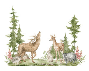 Watercolor forest landscape. Trees, field, fir-trees, wild animals. Deers, badger, hare, hedgehog, meadow flowers. Summer woodland, nature scene, valley